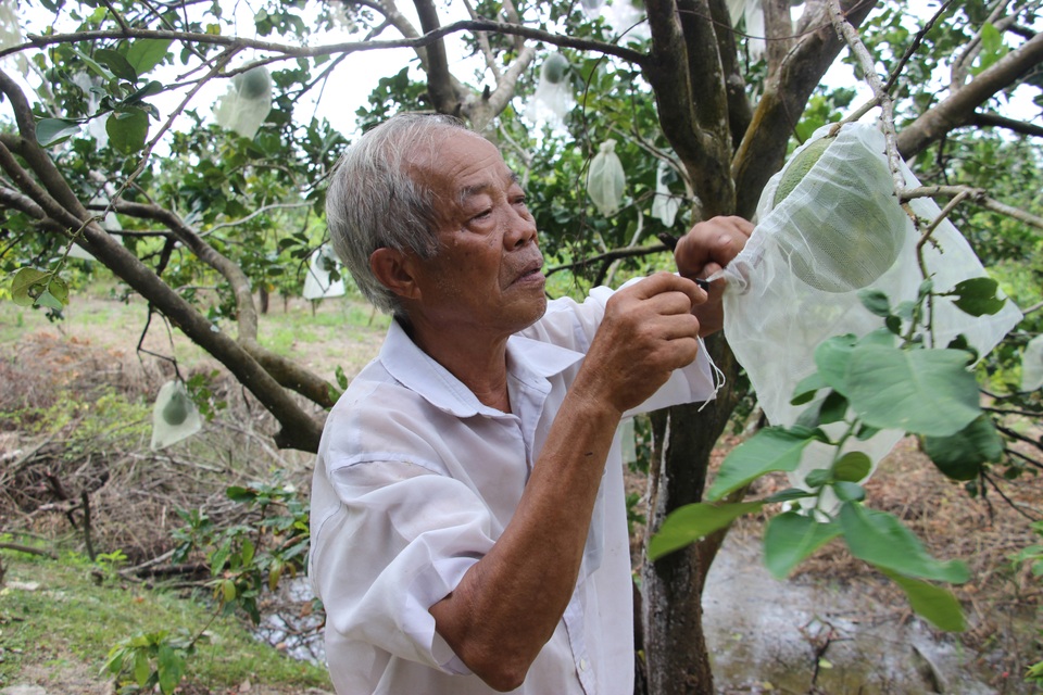 Từng là Bí thư Đoàn, lão nông U70 nay thu trăm triệu đồng từ du lịch vườn - 1 Từng là Bí thư Đoàn, lão nông U70 nay thu trăm triệu đồng từ du lịch vườn - 1