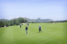 Văn bản gây xôn xao của Chủ tịch Hội golf Hà Tĩnh gửi ông Lê Thanh Thản