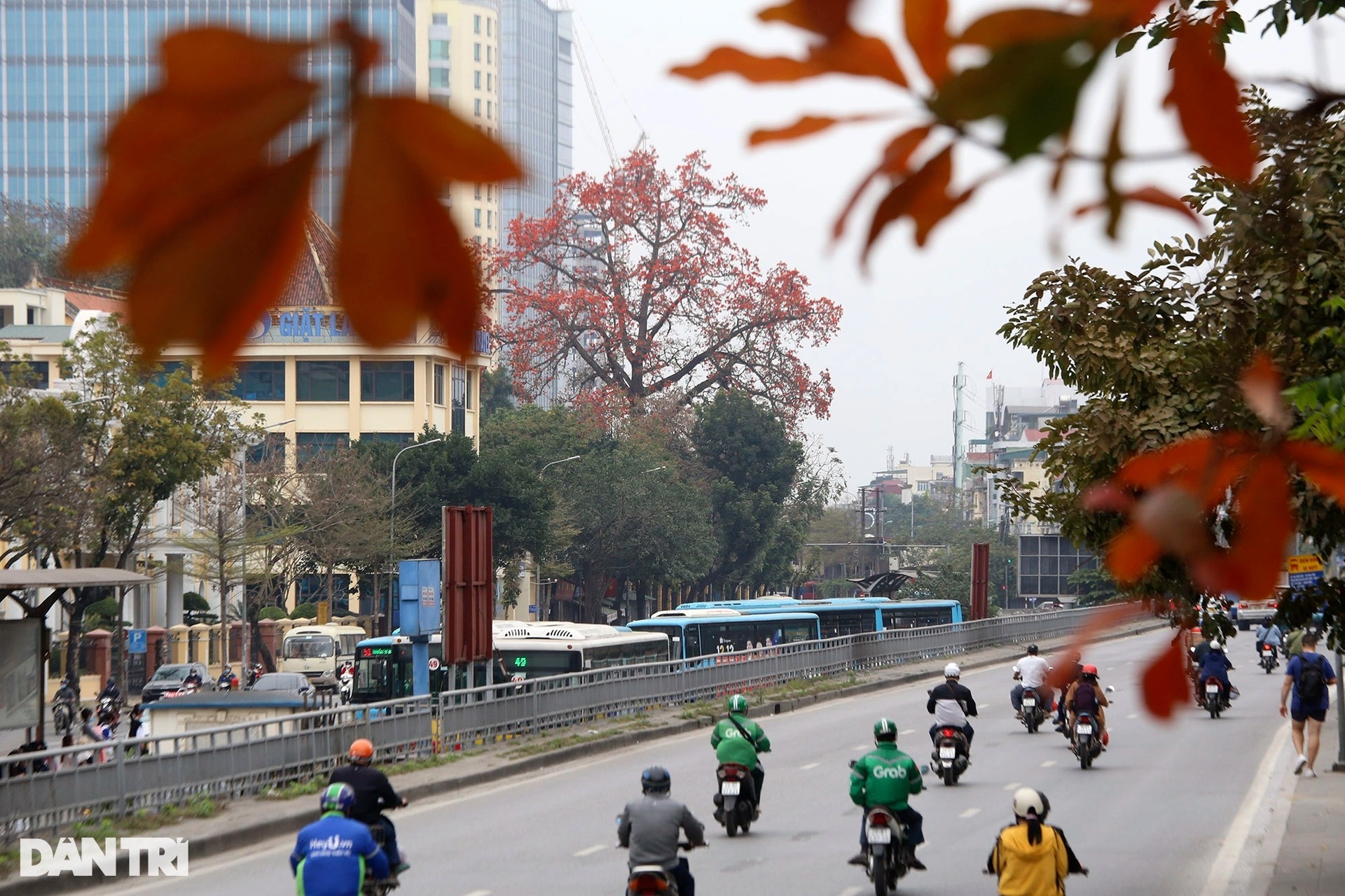 Đỏ rực từ nông thôn đến thành phố mùa hoa gạo tháng Ba ở Hà Nội - 15 Đỏ rực từ nông thôn đến thành phố mùa hoa gạo tháng Ba ở Hà Nội - 15