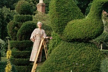 Sửng sốt với khu vườn cắt tỉa đẹp như công viên của bà lão người Anh