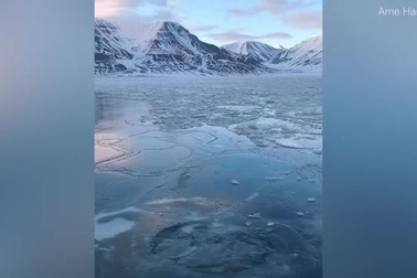 Chàng trai đùa giỡn với băng Bắc Cực gây “sốt” trên Instagram