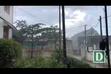 Cơn mưa vàng xối mát thành Vinh.