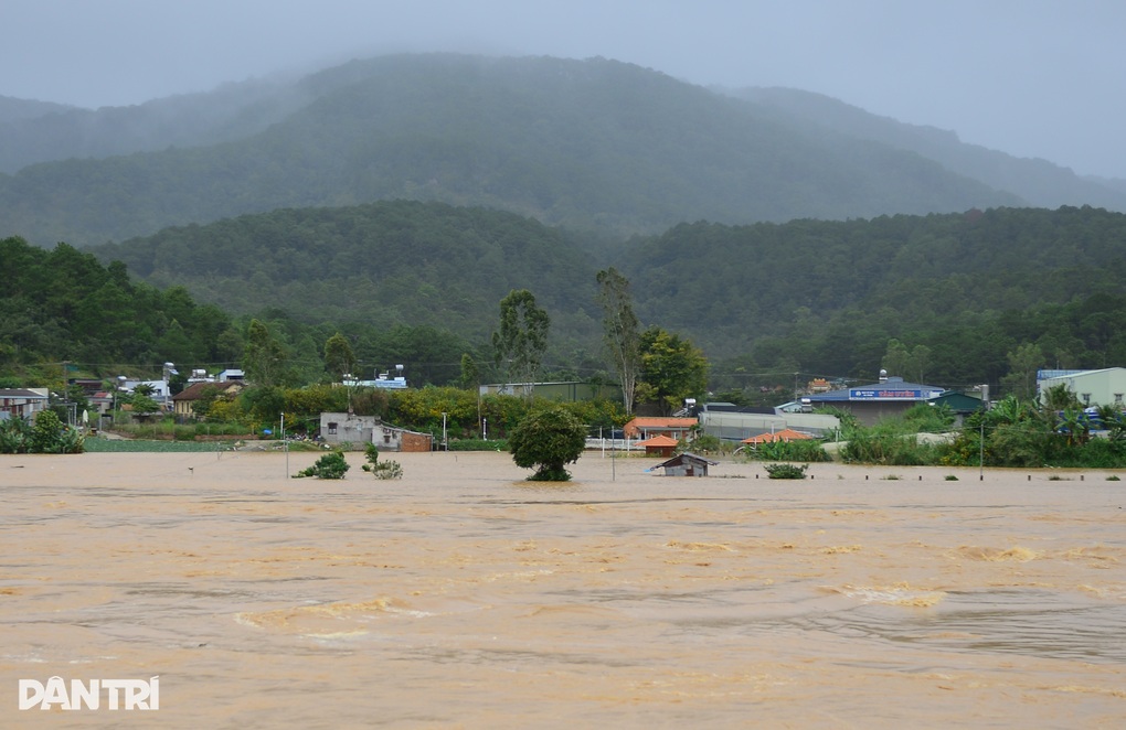 Hàng trăm ha hoa màu ở Lâm Đồng vẫn chìm trong biển nước - 2 Hàng trăm ha hoa màu ở Lâm Đồng vẫn chìm trong biển nước - 2