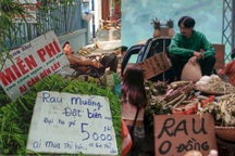 Đen Vâu hóa Minh Râu bán rau "5 tỷ" giá 0 đồng trong MV của Hoàng Thùy Linh