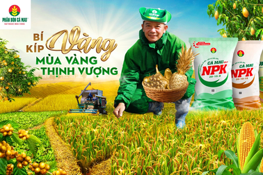 Phân bón Cà Mau đẩy mạnh chuyển đổi số đồng hành cùng nông dân