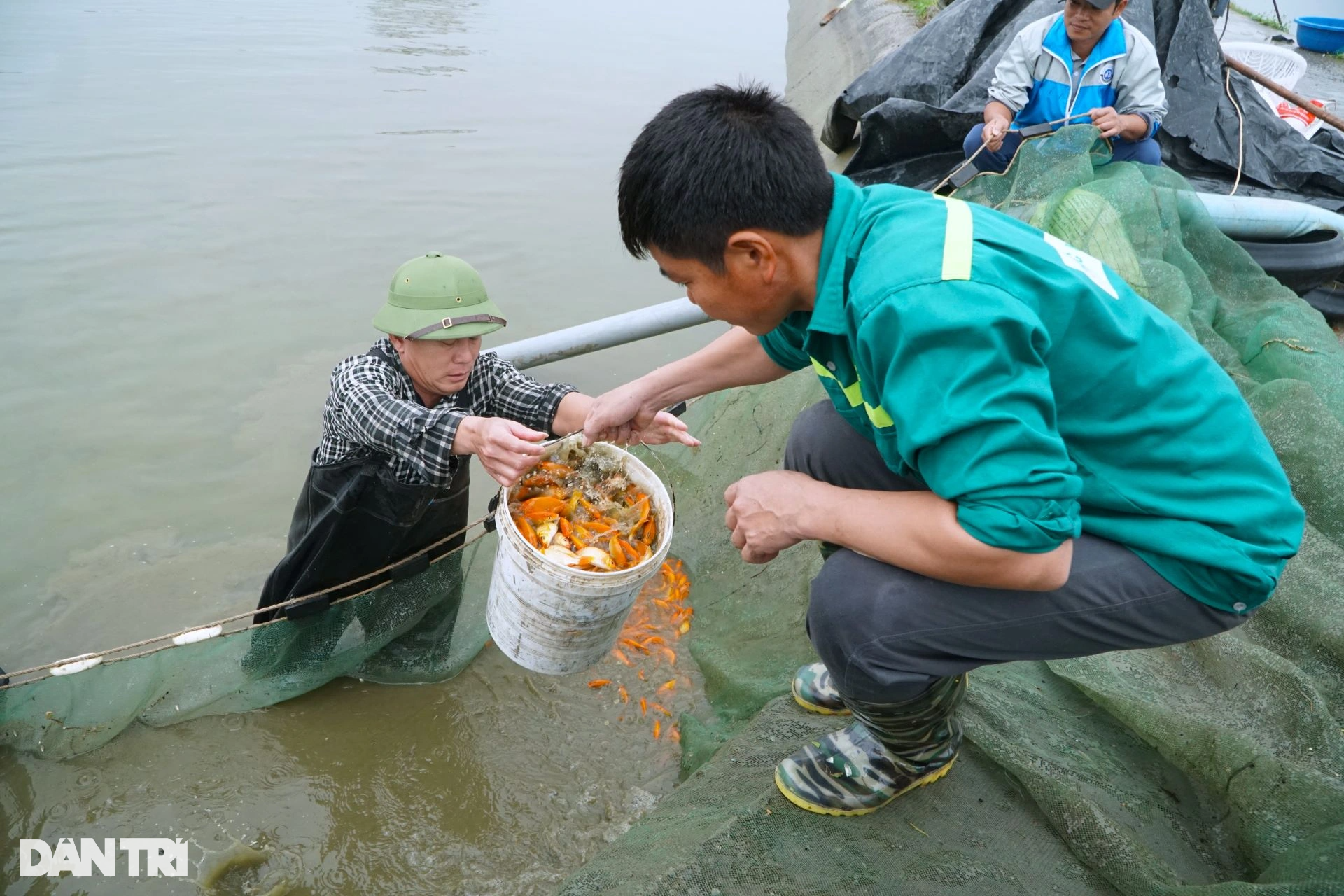 Mẻ lưới trăm triệu tại nơi sản xuất phương tiện tiễn ông Công, ông Táo - 5 Mẻ lưới trăm triệu tại nơi sản xuất phương tiện tiễn ông Công, ông Táo - 5