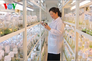 Khi nhà khoa học nữ nghỉ hưu, họ mong muốn gì?