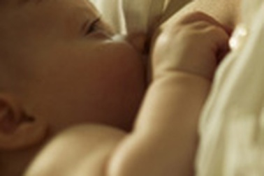 Món ăn chế biến từ... sữa mẹ