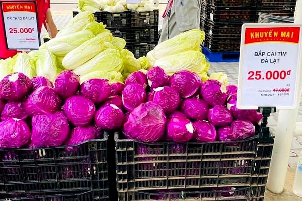 TPHCM: Siêu thị giảm giá 50% cho rau củ quả Đà Lạt, rẻ nhất 15.000 đồng/kg - 2 TPHCM: Siêu thị giảm giá 50% cho rau củ quả Đà Lạt, rẻ nhất 15.000 đồng/kg - 2