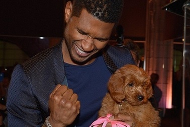 Usher chi tới 12.000 USD mua… chó cưng