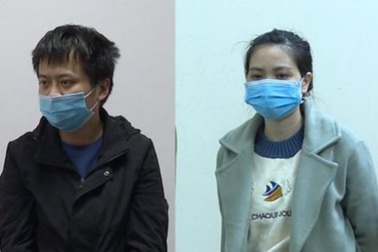 Giám đốc buôn lậu pin năng lượng mặt trời trị giá hàng trăm tỷ đồng