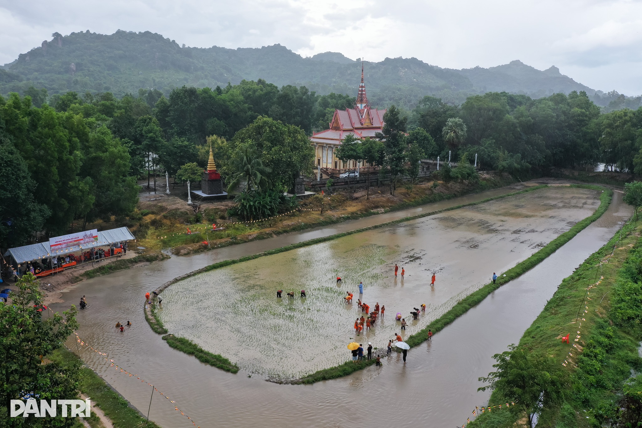 נזירים ואנשים מתמודדים עם הגשם כדי לשתול אורז כדי לחגוג את פסטיבל סנה דולטה של אנשי הקמר - 2 Sư thầy, người dân đội mưa cấy lúa mừng lễ Sene Dolta của đồng bào Khmer - 2