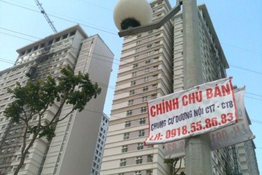 Chuyện lạ ở nơi ai cũng nhận mình... ngu!