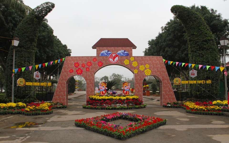 Người dân đổ xô đến chụp hình lưu niệm con đường hoa ở thành Vinh - 2