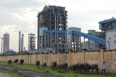 Chưa thoát lỗ, Đạm Ninh Bình lại bị thúc các khoản nợ quá hạn