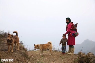 Hà Giang bốn mùa hoang dã
