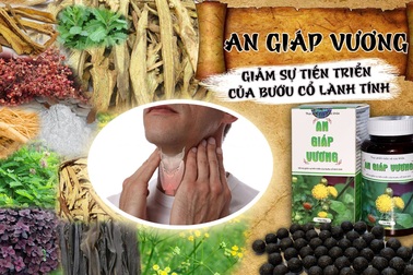 An Giáp Vương - hỗ trợ điều trị các bệnh tuyến giáp, bướu cổ