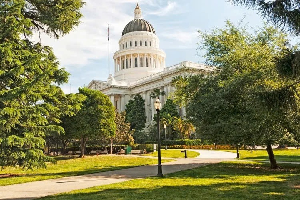 گردشگران به دلیل بوی استفراغ که از دو درخت ۷۵ ساله در پارک میآمد، وحشت کردند - ۱ Du khách hoảng hốt vì mùi nôn ói tỏa ra từ cặp cổ thụ 75 tuổi ở công viên - 1