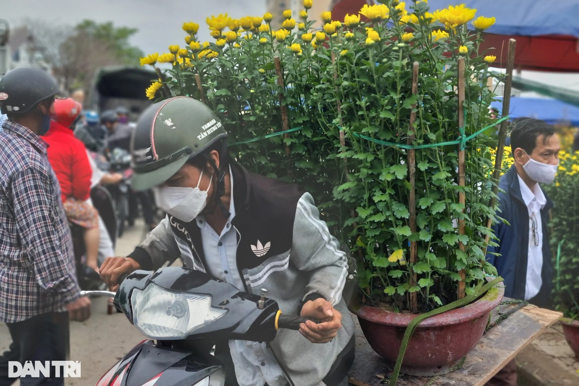 Chợ hoa 29 Tết đông nghịt người, người bán đồng loạt xả hàng - 4 Chợ hoa 29 Tết đông nghịt người, người bán đồng loạt xả hàng - 4