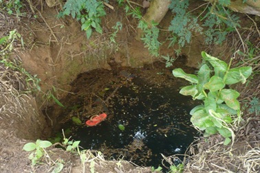 Ôm con trai nhảy xuống giếng tự tử vì giận mẹ chồng