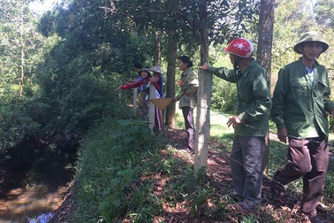 Hàng trăm hộ dân vây trang trại gây ô nhiễm, bán lợn chết