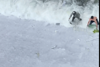 Hàng trăm con cá tràn ra ngoài hồ chứa, dân bất chấp nguy hiểm đón bắt