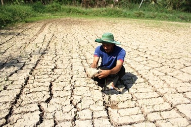 Hạn, mặn gây thiệt hại hơn 2.280 tỷ đồng