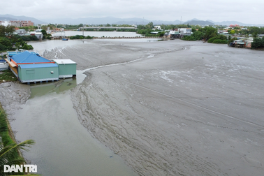 Bình Định: Người dân khốn khổ vì bùn non bủa vây