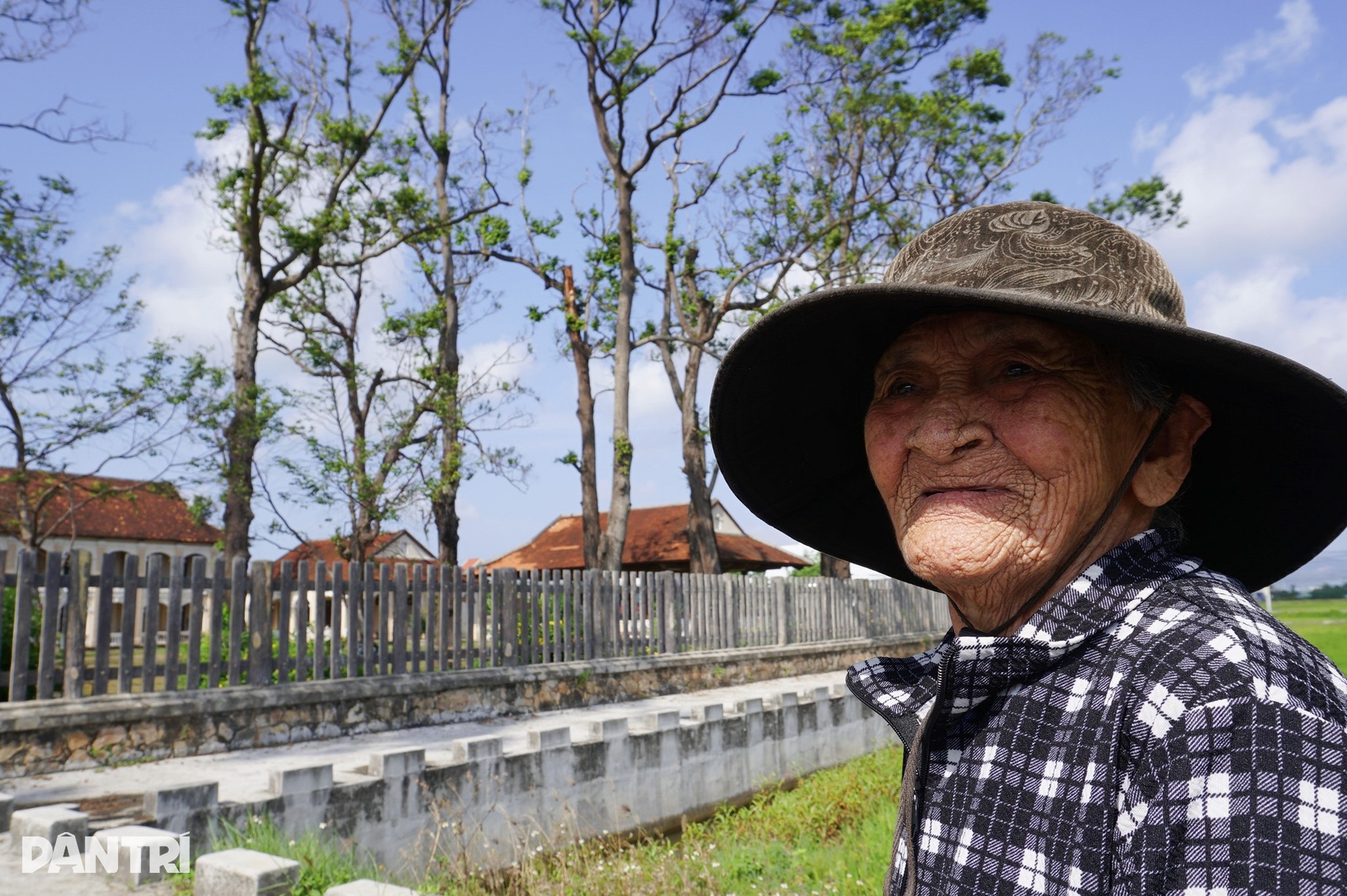 Hàng cây sao cổ thụ ở Tiểu chủng viện Làng Sông hồi sinh sau bão lịch sử - 10