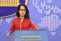 Việt Nam lên tiếng trước tin xuyên tạc về tìm kiếm quân nhân Mỹ mất tích