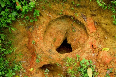 Những hầm lò bí ẩn ở thung lũng Huổi Chăng