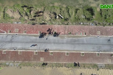 Cận cảnh khu đô thị gần 200ha ở Nam Định bỏ hoang, nuôi trâu bò