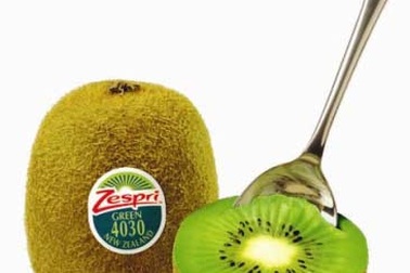 10 lý do để chọn kiwi