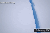 Khối băng khổng lồ hơn 1.000 tỷ tấn bắt đầu tách khỏi Nam Cực