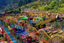 Khu vườn như "nồi lẩu thập cẩm" giữa đồi Đà Lạt sẽ được sửa chữa?