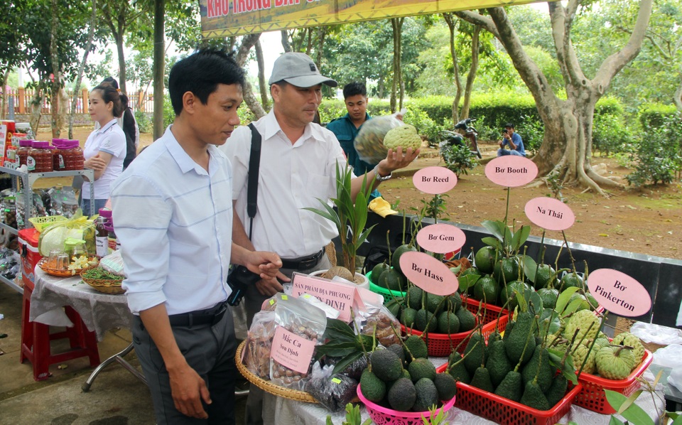 Phú Yên: Khai trương tuyến du lịch cao nguyên Vân Hòa - 3