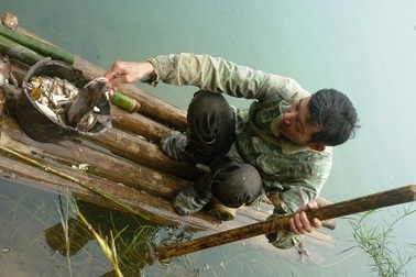 Nhà máy xả thải, cá chết nổi trắng sông