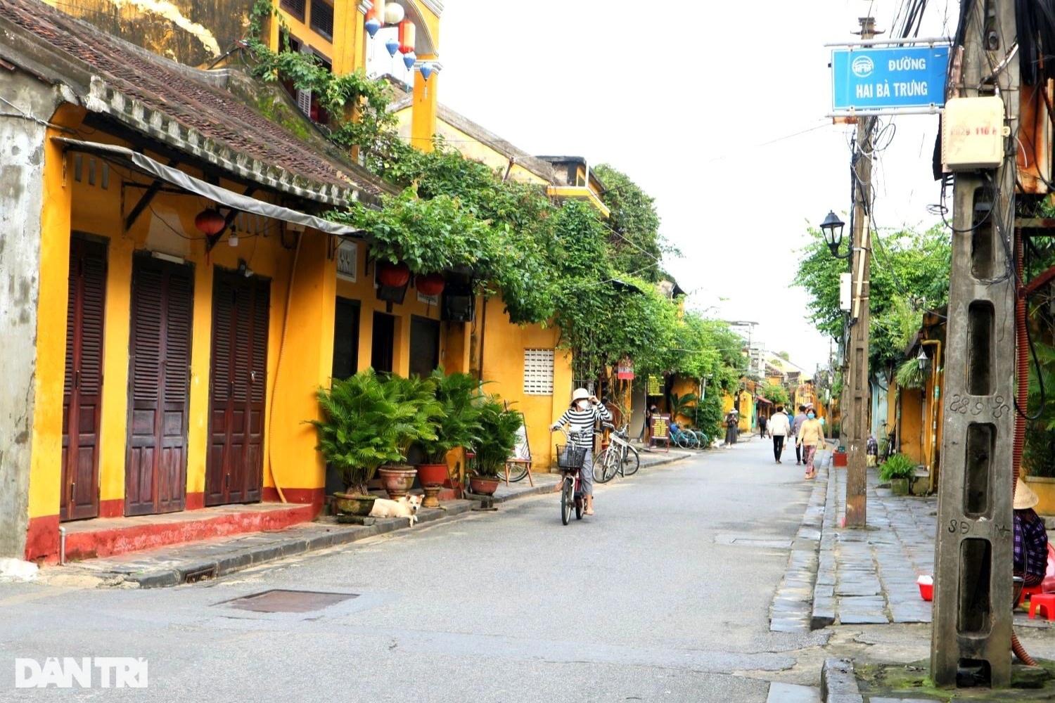 Người đạp xích lô ở phố cổ Hội An thắc thỏm vì diễn biến dịch - 7 Người đạp xích lô ở phố cổ Hội An thắc thỏm vì diễn biến dịch - 7