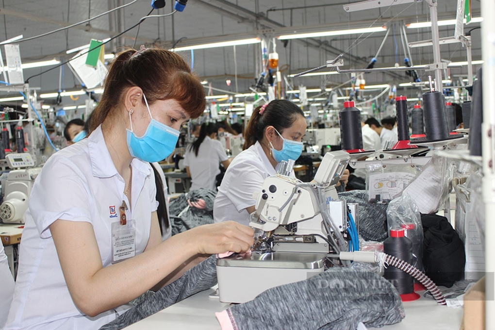 Năm 2023: Triển vọng mới tươi sáng hơn cho thị trường lao động? - 1 Năm 2023: Triển vọng mới tươi sáng hơn cho thị trường lao động? - 1