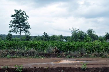 Có con ngoài luồng sợ bị phát hiện, người phụ nữ giết chết con mới đẻ