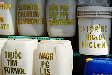 Gắn “mắt thần” giám sát chợ hóa chất Kim Biên