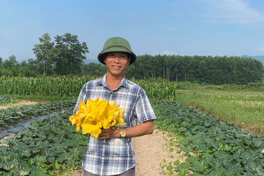 Làm điều này với hoa, người trồng bí, mướp thu nhập gấp 3