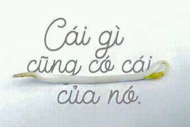 Dân mạng sốt trào lưu chế ảnh “đồng âm khác nghĩa”