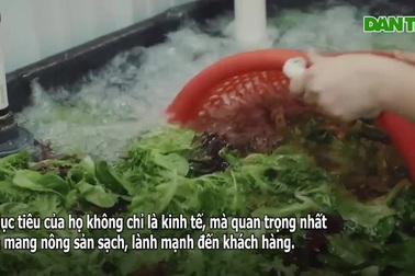 Cha mẹ làm trang trại "thuận tự nhiên" cùng con "chiến đấu" với ung thư