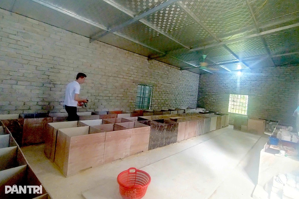 Chàng trai trẻ gác bút khởi nghiệp thành công với con dúi - 1 Chàng trai trẻ gác bút khởi nghiệp thành công với con dúi - 1