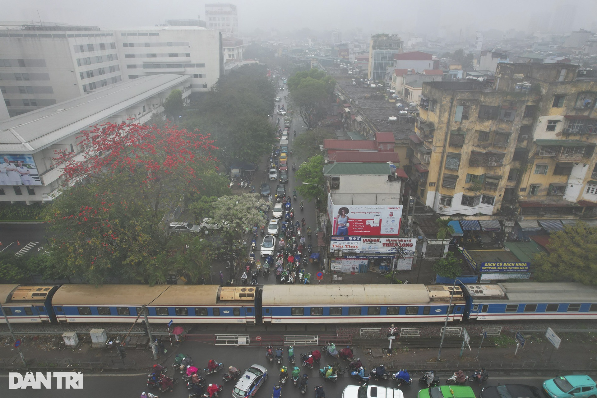 Hà Nội mùa hoa gạo nở trong sương mờ trắng - 1 Hà Nội mùa hoa gạo nở trong sương mờ trắng - 1