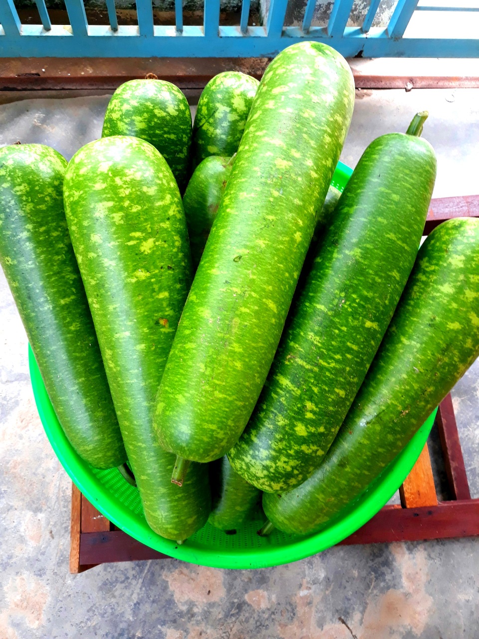 “Giải cứu” vườn rau, quả cho trường vùng cao trong mùa dịch Covid-19 - 4 “Giải cứu” vườn rau, quả cho trường vùng cao trong mùa dịch Covid-19 - 4