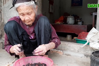 Cụ bà 91 tuổi từ chối nhận hỗ trợ xây nhà mới