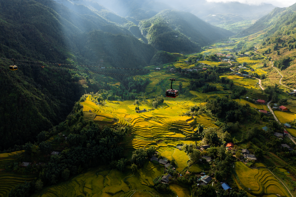Ruộng bậc thang hoa dơn lúa nở rực trên đỉnh thiêng Fansipan - 5 Ruộng bậc thang hoa dơn lúa nở rực trên đỉnh thiêng Fansipan - 5