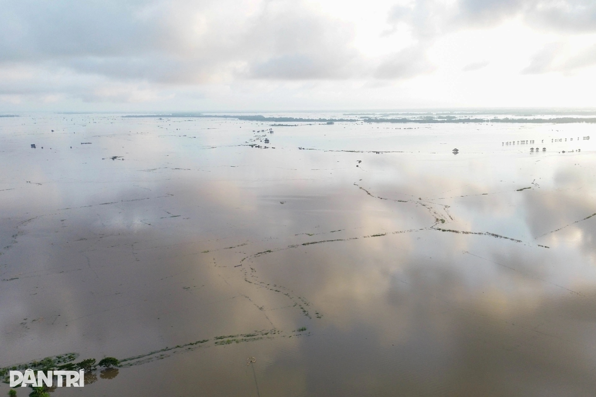 Trắng đêm săn lộc trời kiếm gần triệu bạc mỗi ngày - 1 Trắng đêm săn lộc trời kiếm gần triệu bạc mỗi ngày - 1